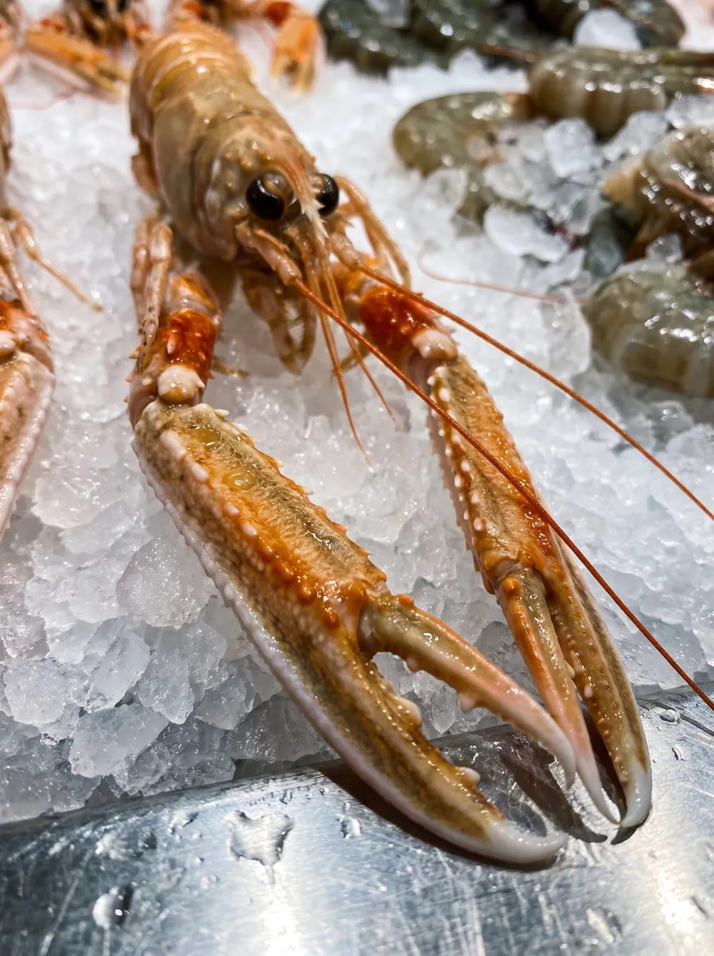 différence crevette gambas langoustine